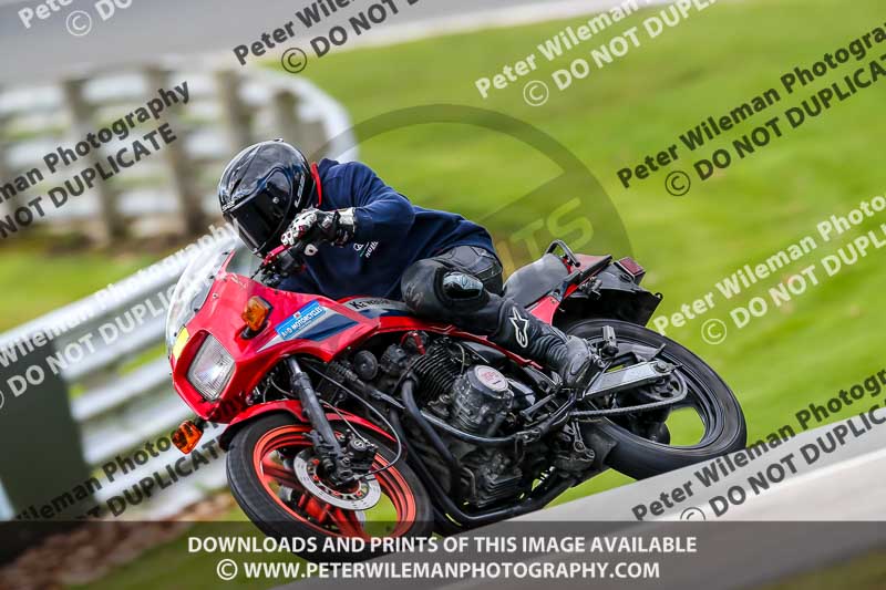 Oulton Park 20th March 2020;PJ Motorsport Photography 2020;anglesey;brands hatch;cadwell park;croft;donington park;enduro digital images;event digital images;eventdigitalimages;mallory;no limits;oulton park;peter wileman photography;racing digital images;silverstone;snetterton;trackday digital images;trackday photos;vmcc banbury run;welsh 2 day enduro